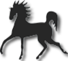 Karrikatur Pferd | Happyparadise